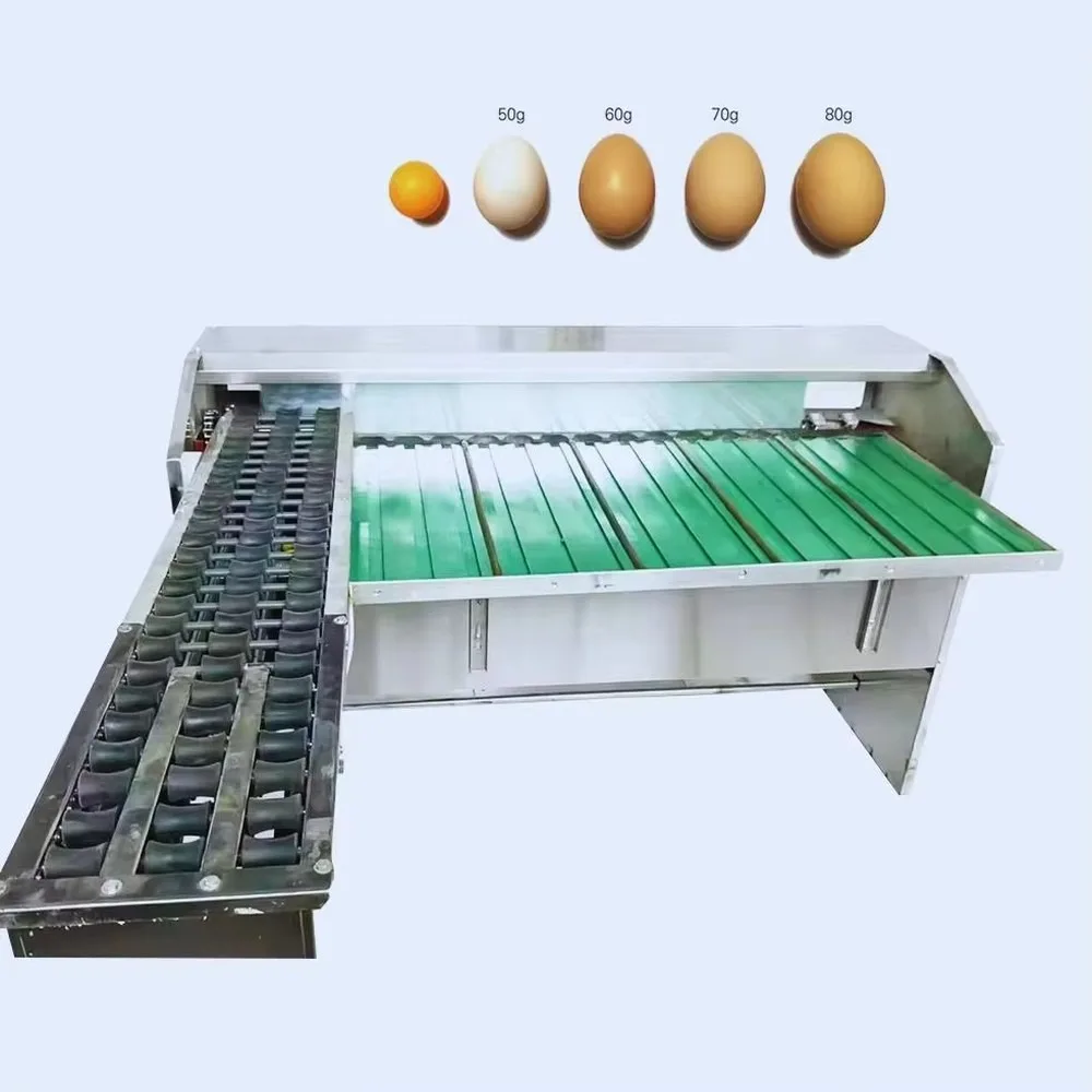 Industrial Egg Weight Sorting Machine Poultry Egg Classifier Automatic Egg Grading Equipment for Farm Use High