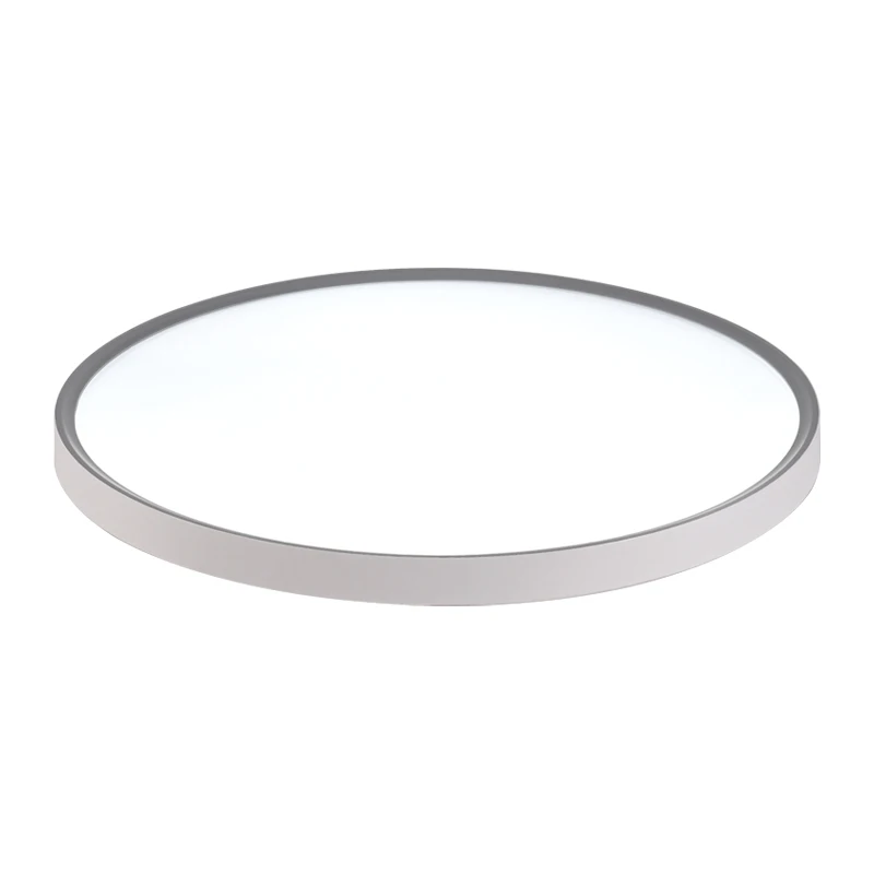 Ultra cienka lampa sufitowa LED Nowoczesna prosta sypialnia Kuchnia Łazienka Korytarz Odporny na komary