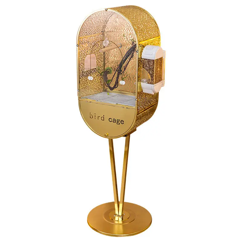 Bird Parrot Splash-…