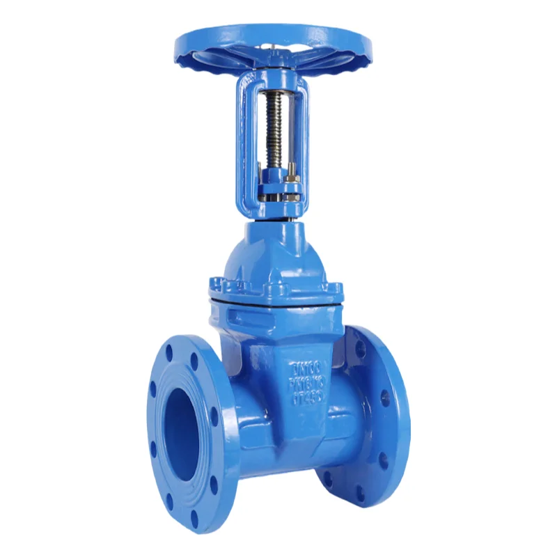 PN16 PN25 DN100 DN150 DN300 4 inch 1 inch BS AWWA cast iron hard seal gate valve