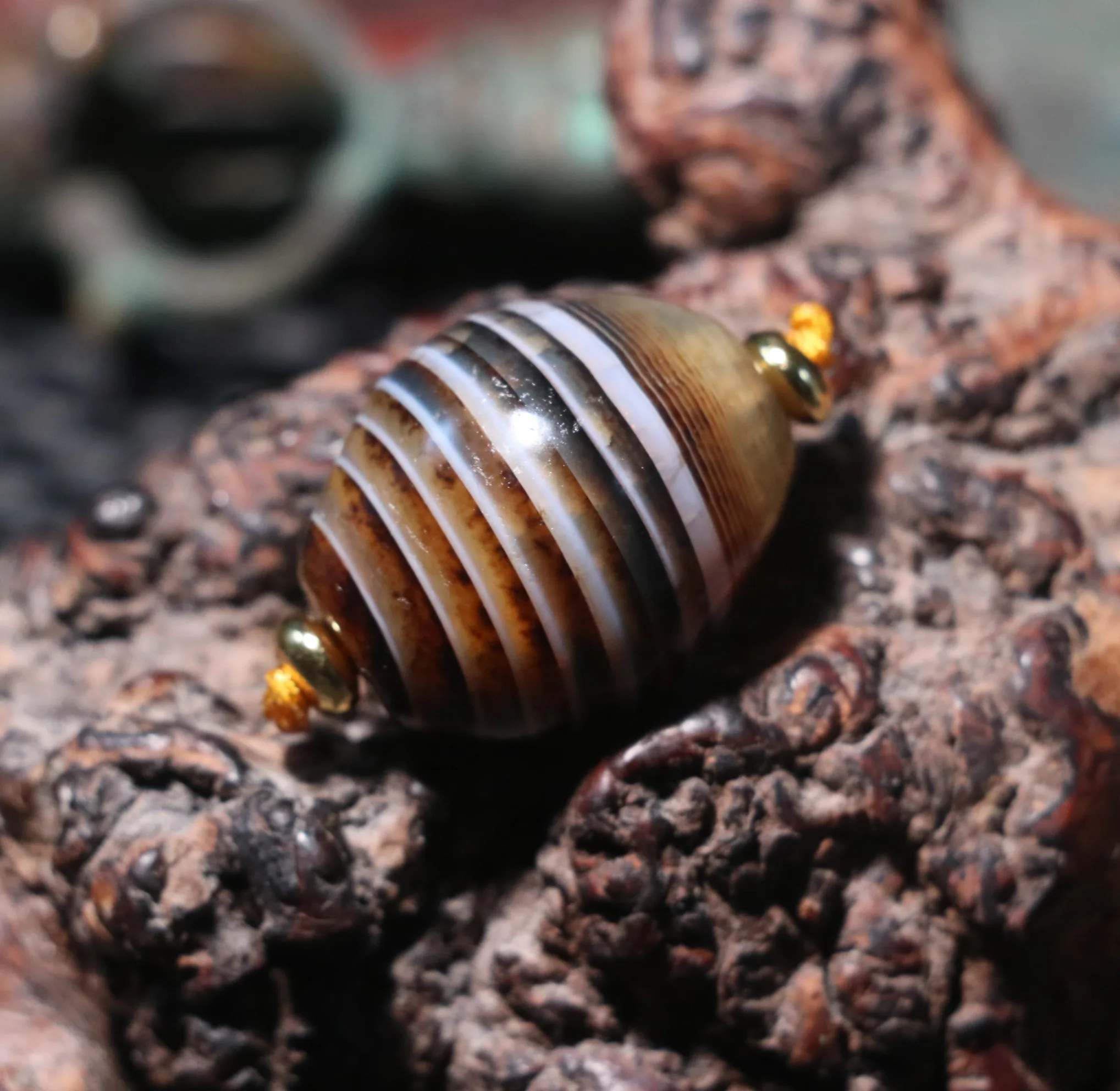 T8R29B2 Treasure Power Tibetan Old Agate TOTEM Rich Natural Silkworm Lines Daluo dZi Bead Amulet Timestown Jewelry