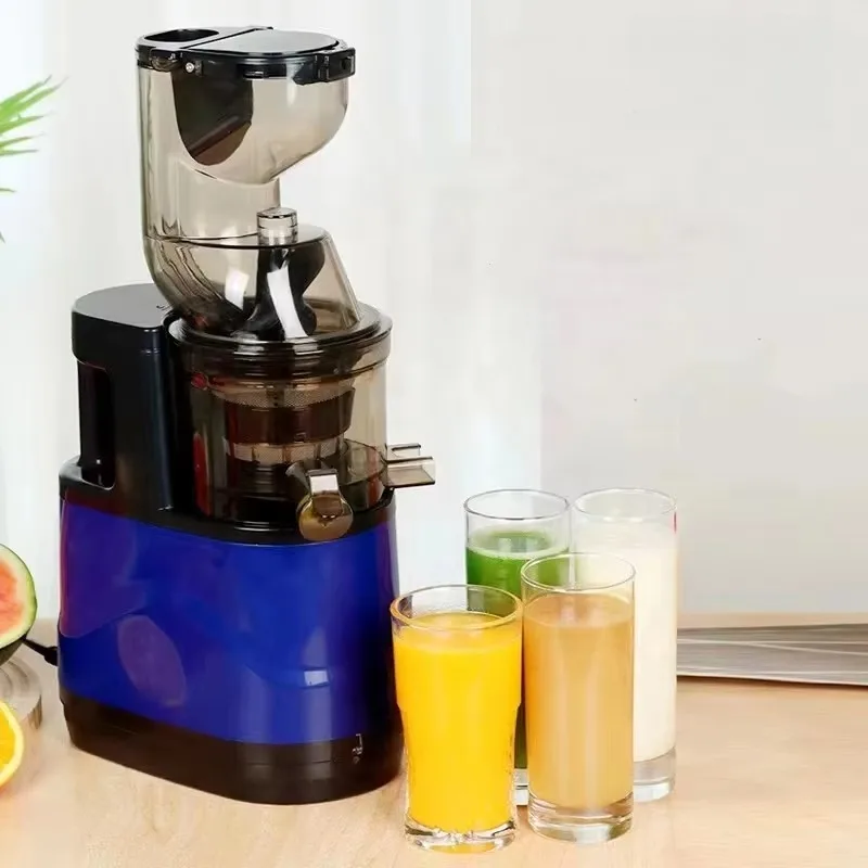 Fruit Blender Pineapple Extractor Cold Press Commercial Juicer