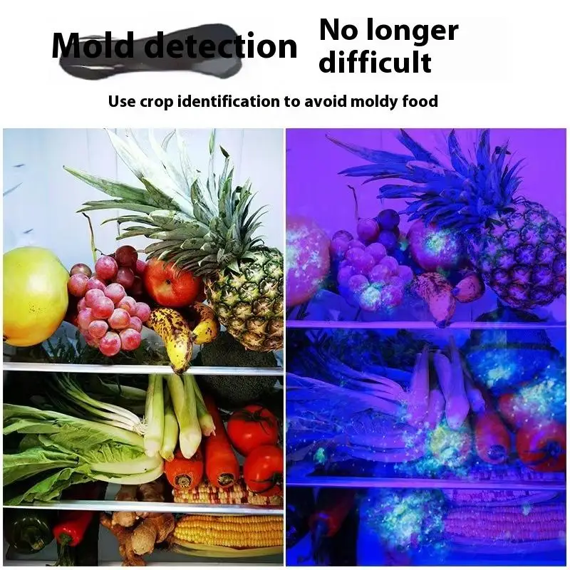 Linterna UV EDC portátil, luz púrpura de 365nm, luz LED recargable, Detector de higiene de escorpión y orina de mascotas, lámpara de antorcha