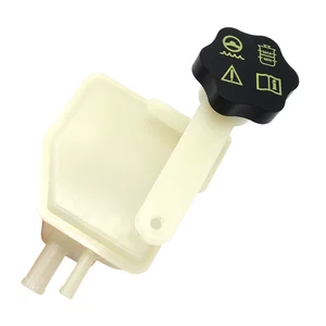 Hydraulic Hydraulic Steering Oil Tank for Ford Ecosport 1.6 2.0 2003-2012 Ka Fiesta 2N153R700AC, Supplier Car Accessories 6 Main Sales Hydraulic Direction Kit Fiesta - №2