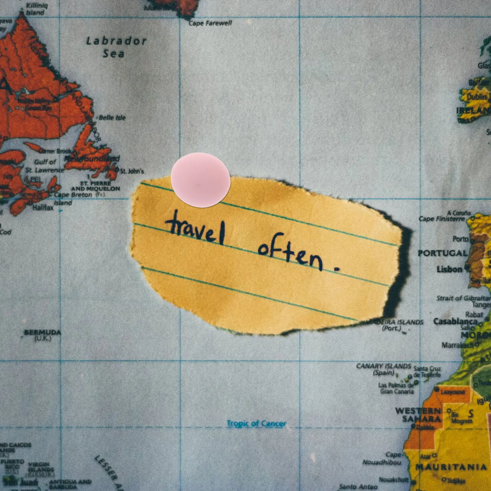 

30Pcs Photos Wall Pushpins Lovely Round Pushpins for Office Home Bulletin Board Message Map Markers Thumb Tacks