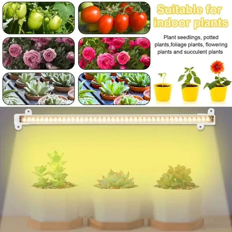 Dimmable Full Spectrum LED cresce a luz com temporizador USB para plantas, Phytolamps, Hidroponia Crescendo Lâmpadas, Phyto Lâmpada para Plantas