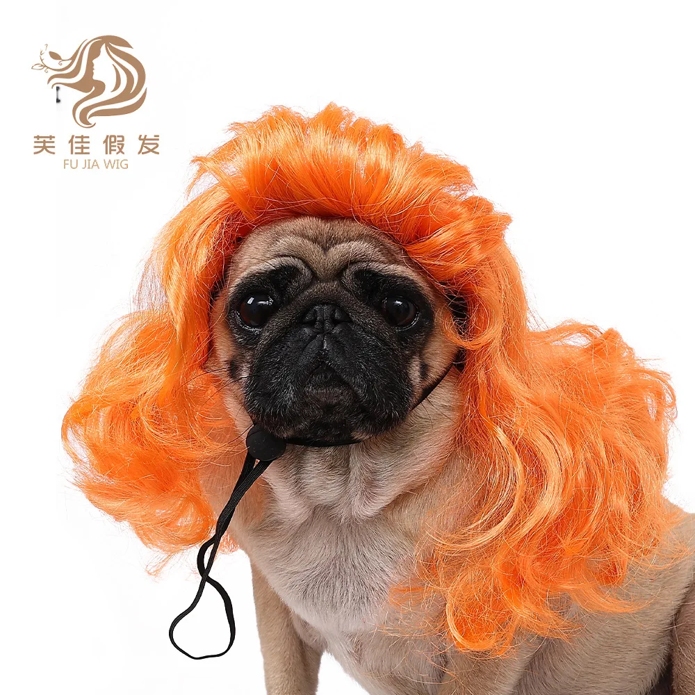 New Pet Wig Cat and Dog Universal Cross-border Pet Supplies Halloween Accessories Party Big Wave Hood