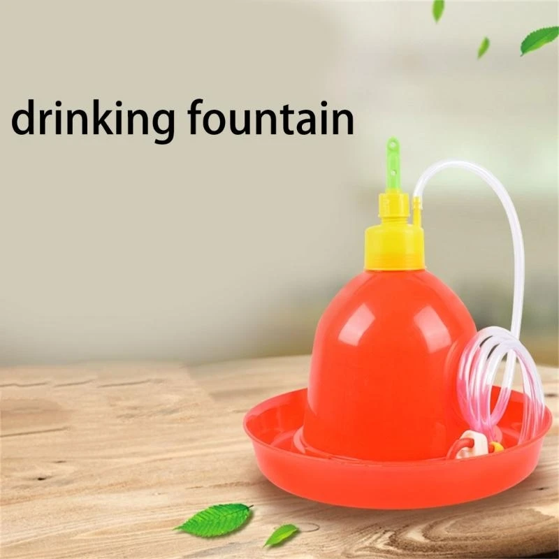 Автоматический водный фонтан для домашних птиц.