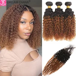 Dreamdiana 9a malaio kinky curly pacotes com fechamento remy ombre afro cabelo encaracolado com fechamento 100% cabelo humano com fechamento