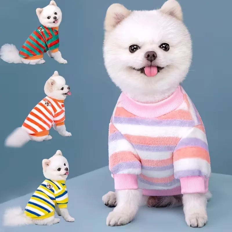 #62 Dog Coats List of Top Picks