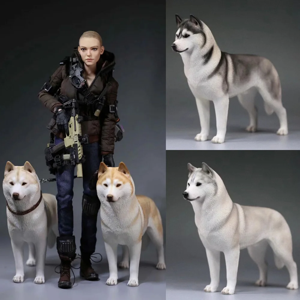 

1/6 Scale Siberian Husky Meek Pet Dog Human Companion Fighting Soldier Pet Partner For 12Inch Action Figure Model Accessories