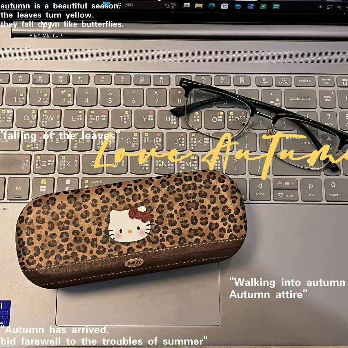 

Новый органайзер Hello Kitty с леопардовым принтом, футляр для очков KT Cat, большая вместимость, в стиле Ins, нишевый, портативный, для очков для близорукости