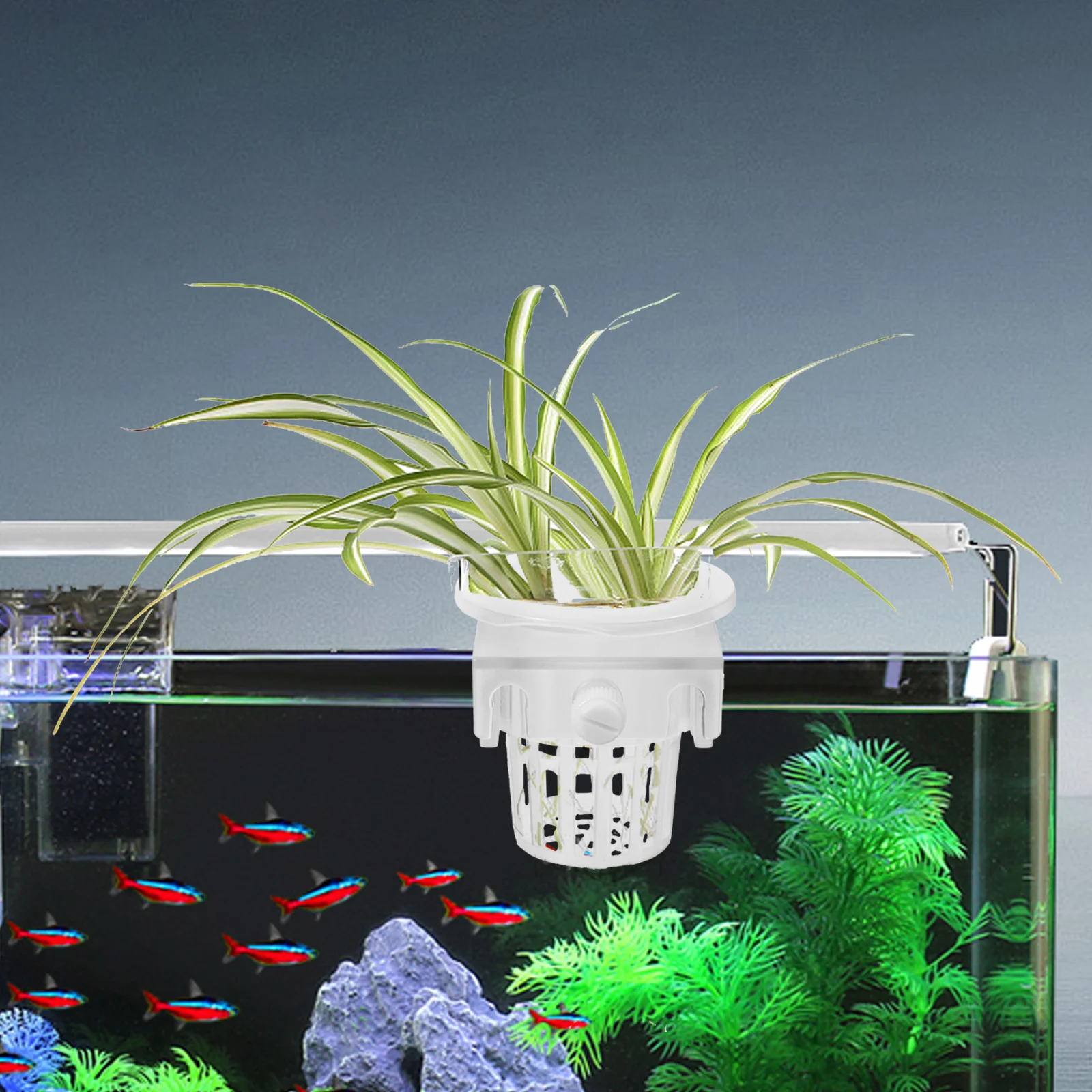 

6pcs Water Grass Hanging Cup Fish Tank Hydroponic Plant Basket For Aquatic Cultivation Adjustable Aquarium Plant Holder -