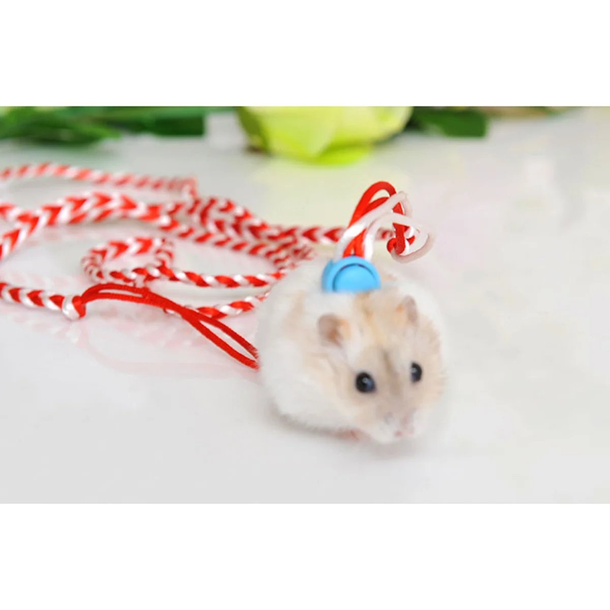Adjustable Hamster Lead Leash Collar 2M Flexible Handle Rope for Small Pets Rabbit Squirrel Rat Cricetulu Comfortable Walking