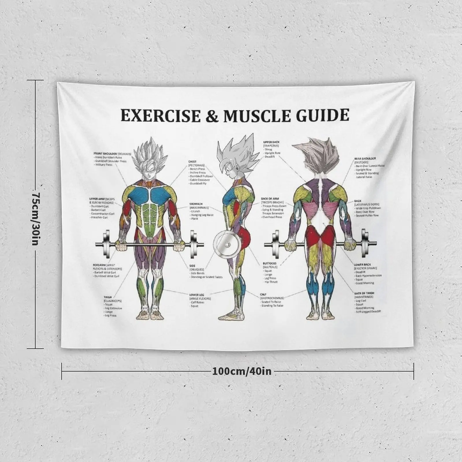 Anatomy Chart - Muscle Diagram - Anime Workout Inspirational Tapestry Decoration Home Wall Hanging Wall Tapestry