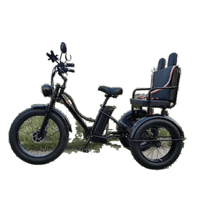 

New Snow Land General Pedal Electric Variable Speed Tricycle