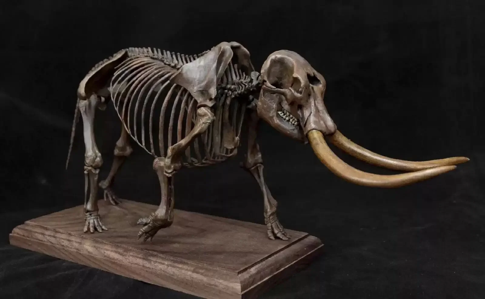 

VWUVWU 1/18 Mammut Americanum Skeleton Model Animal Collector Painted Statue Reslistic Desk Decoration GK Gift Toy