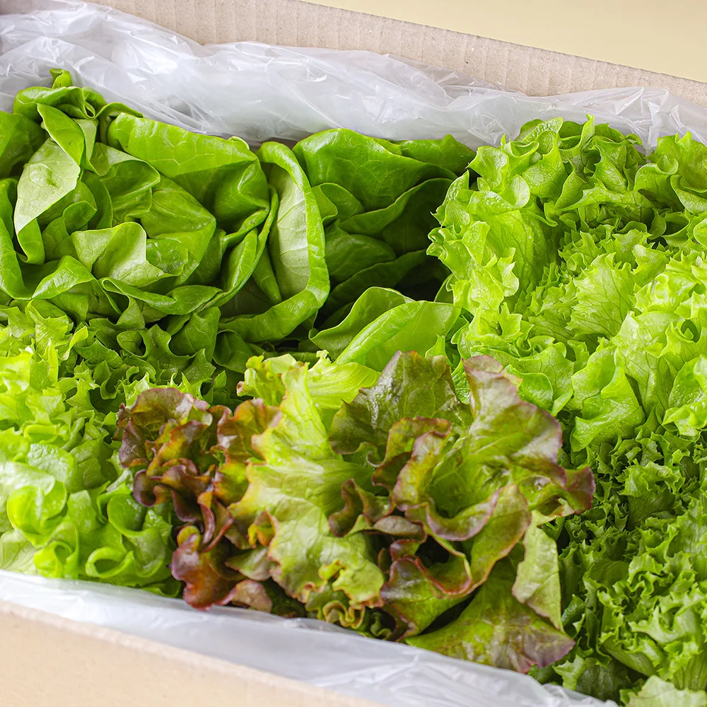 سلطة أوروبية مختلطة صديقة للبيئة 1 كجم #3