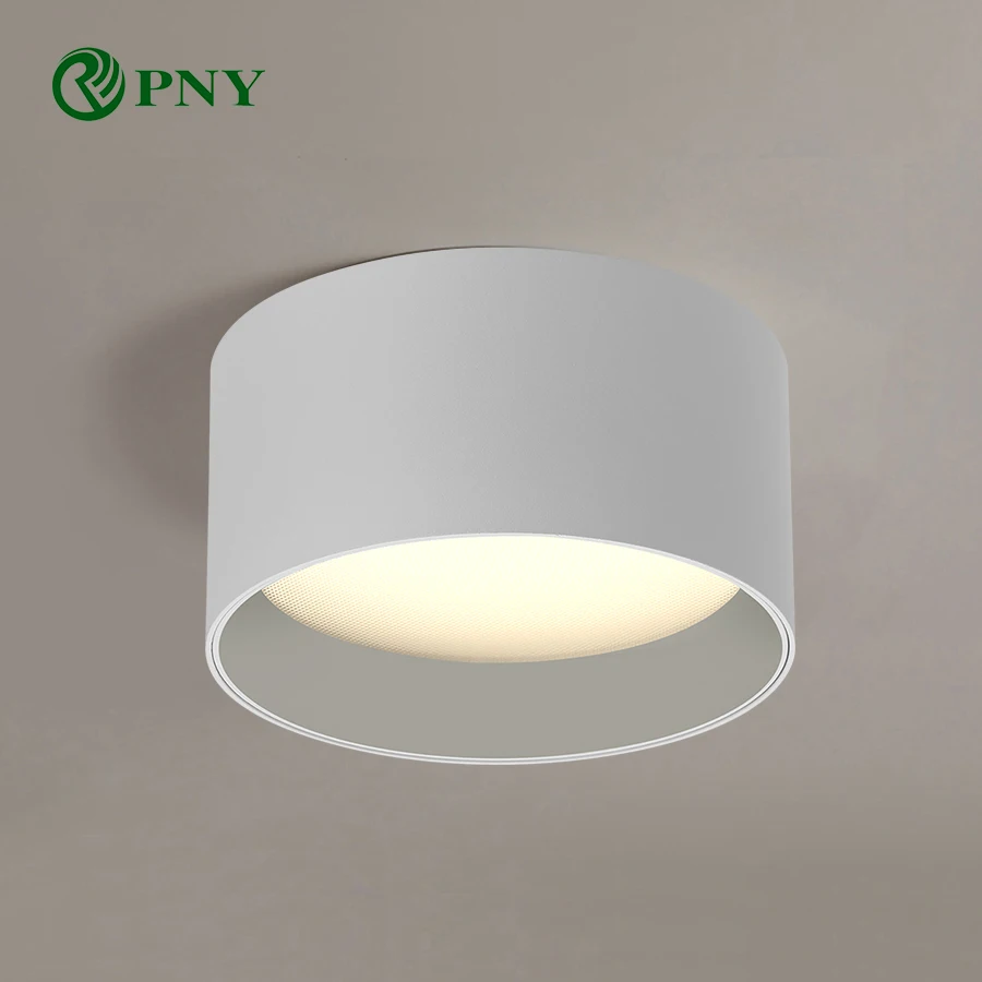 PNY Good Quality Modern Small led Ceiling Lamp Surface Mounted Downlight For Home Living Room Bedroom Corridor Ceiling Light