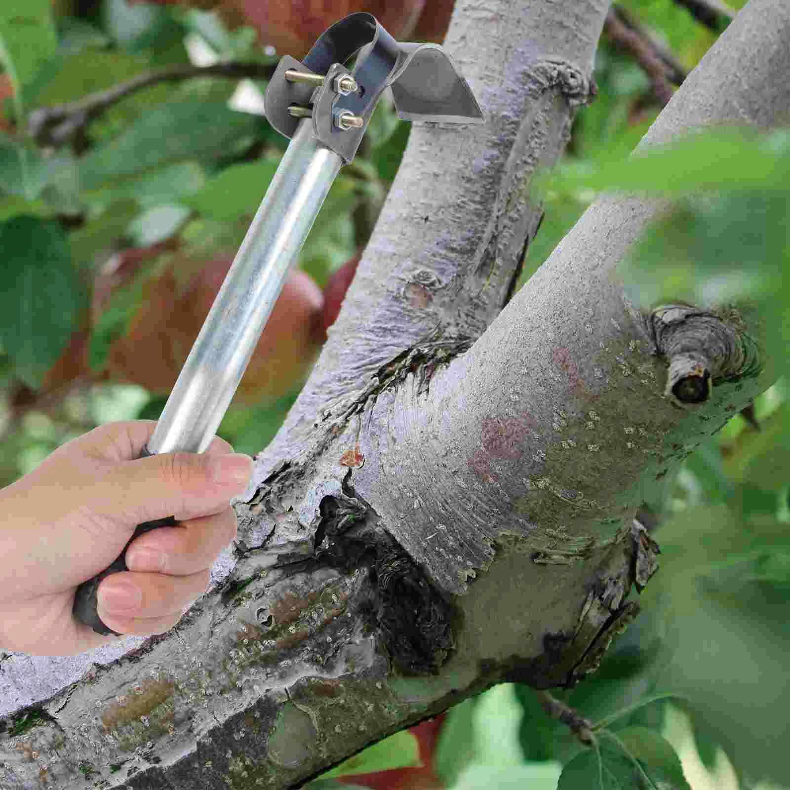 Raspador de corteza profesional para jardín, herramienta de corte para pelar corteza de árbol, pelador de troncos, herramienta para cicatrices de jardinería, 1 ud.