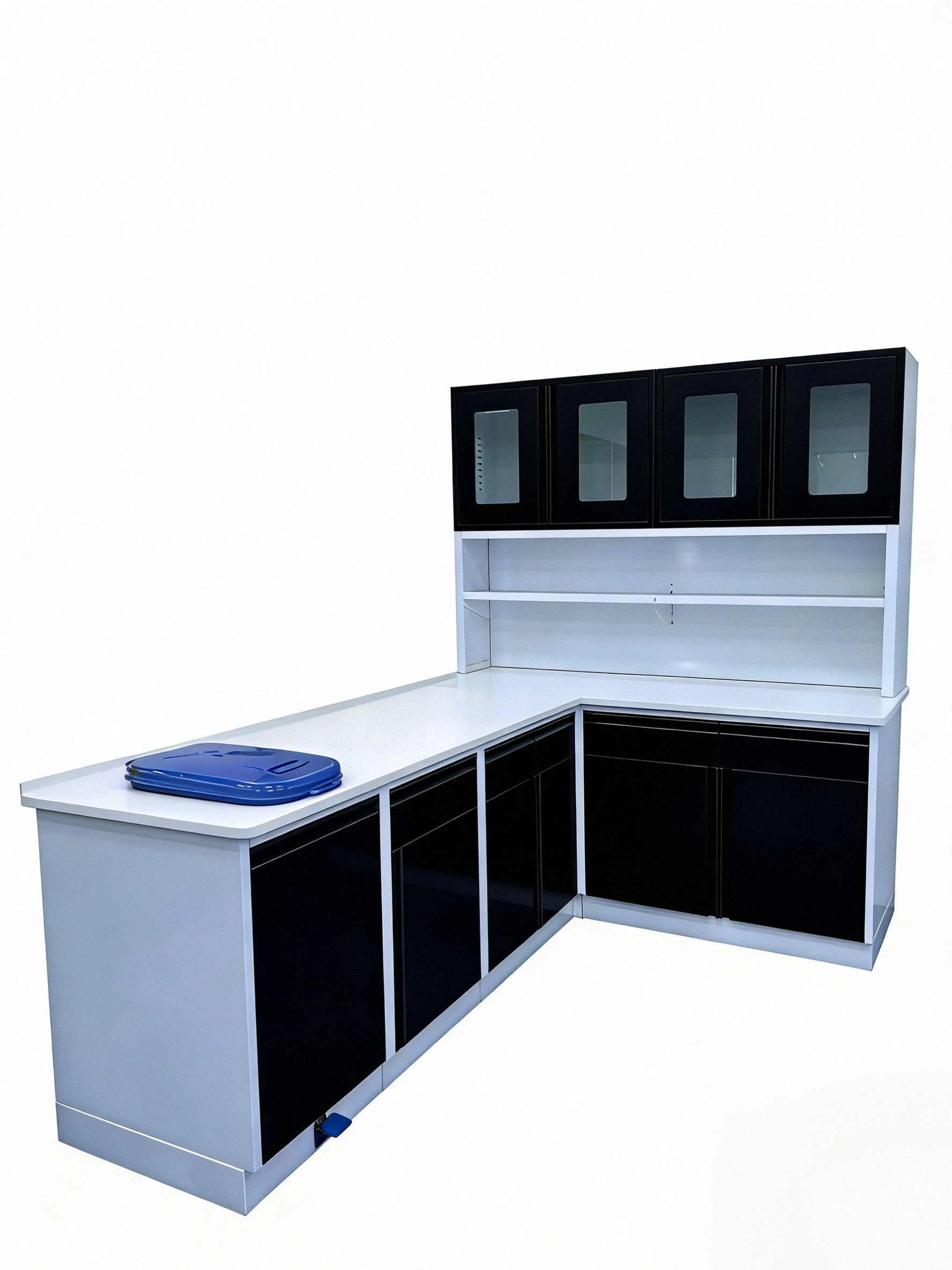 Laboratory Furniture: L-shaped Workbench with Reagent Racks and Hanging Cabinets Against the Wall.
