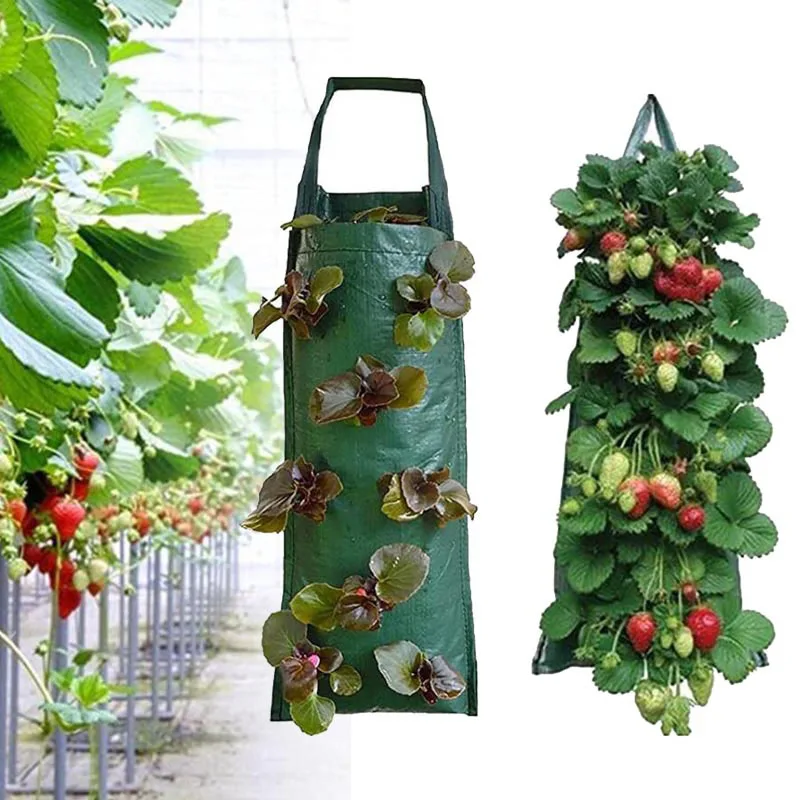 4 8 Pockets Strawberry Planting Bags Garden Plant Grow Bags Hanging Planter Pot Potato Plants Support For Veg Herbs Flowers B3