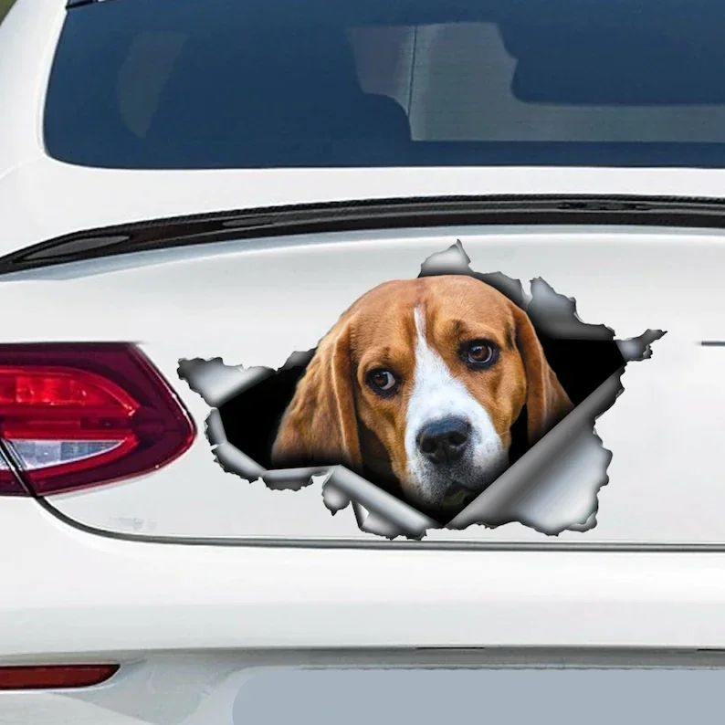 Beagle car decal, Beagle magnet, Beagle sticker, car decoration