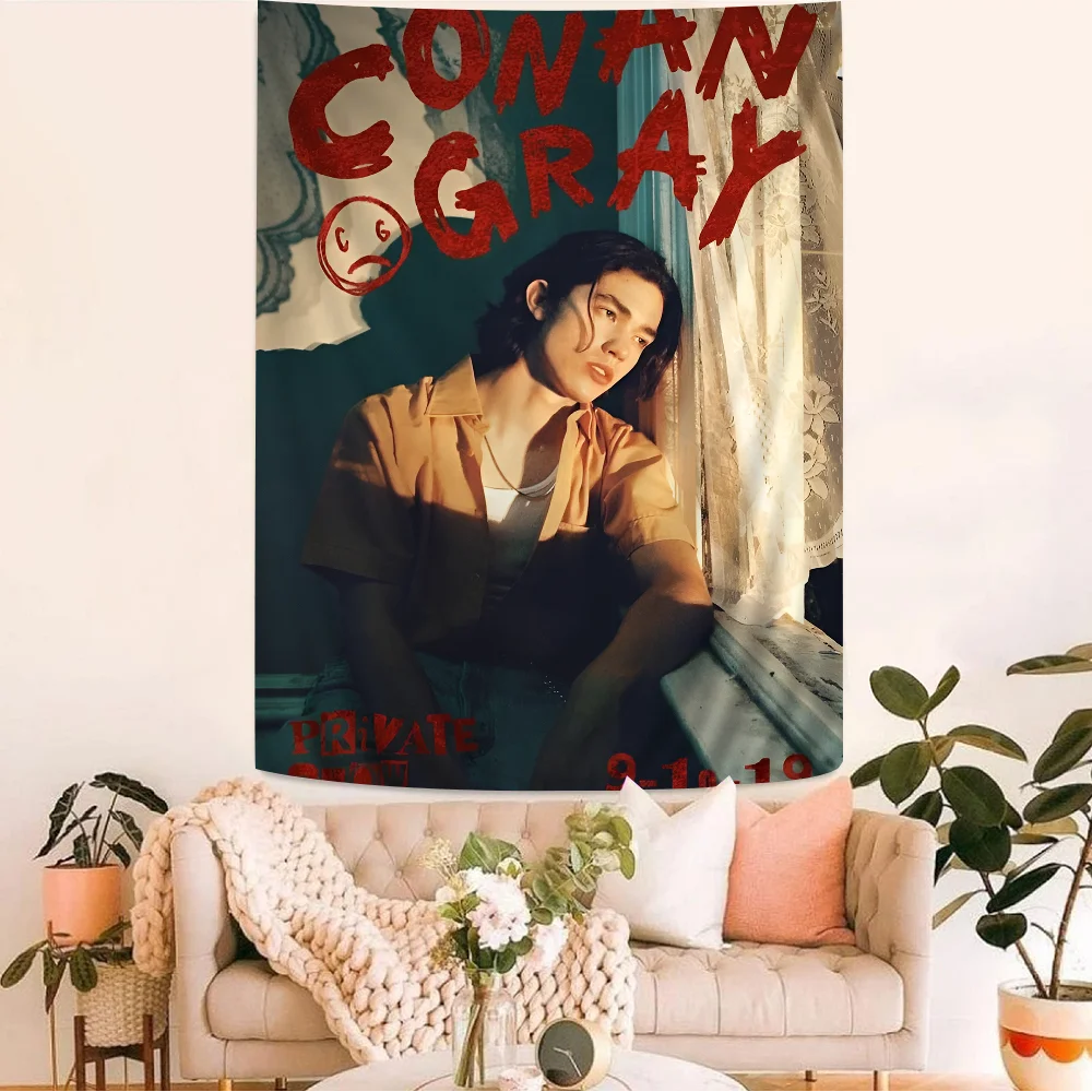 

Singer C-Conan Gray DIY Wall Tapestry Hanging Tarot Hippie Wall Rugs Dorm Home Decor