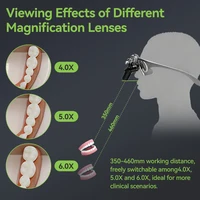 Loupes ergonomiques dentaires 48 °   Loupes optiques 4X/5X/6X avec lentilles détachables, loupe binoculaire pour chirurgie buccale avec lampe frontale magnétique 5