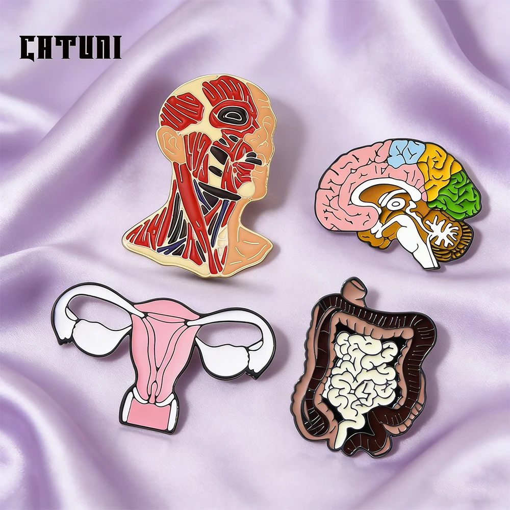 Medical Anatomical Organ Brooches  Brain, Intestine Uterus Creative Metal Badges Cartoon Button-Style Pins For Doctors' Gifts