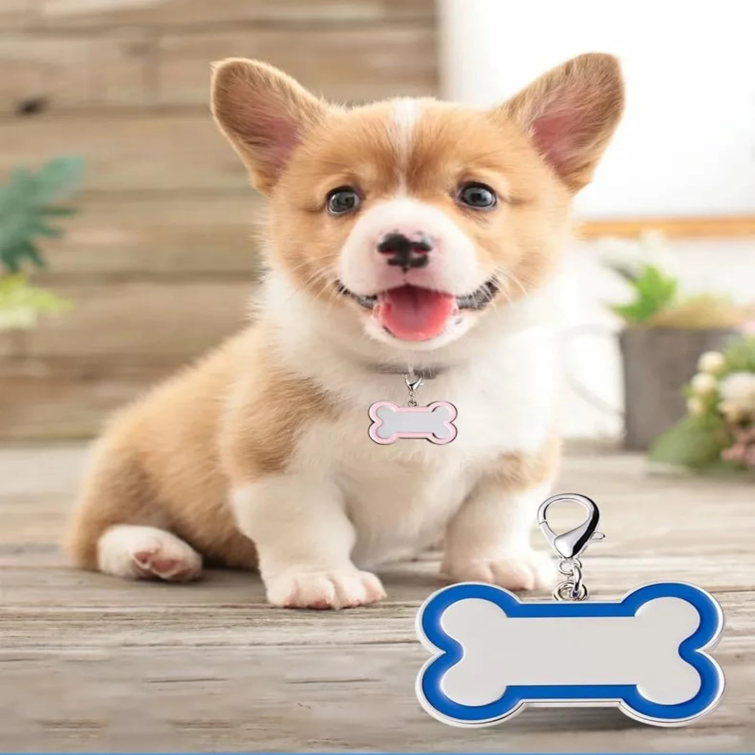 Stylish, Secure, and Convenient Metal Pet Tag - Enhancing Ease, Safety, and Peace of Mind with Durable and Adorable Style - Idea