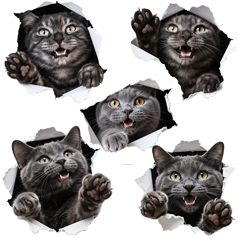 Three Ratels CD225 Funny British Shorthair Cat Stickers for Home Decoration Wall Stickers Computer decals Car Stickers, Wate