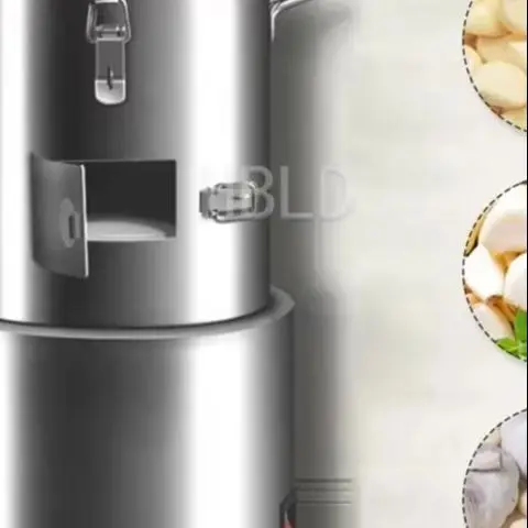 Electric Stainless Steel Commercial Garlic Peeler Dry Type for Restaurant Kitchen Use