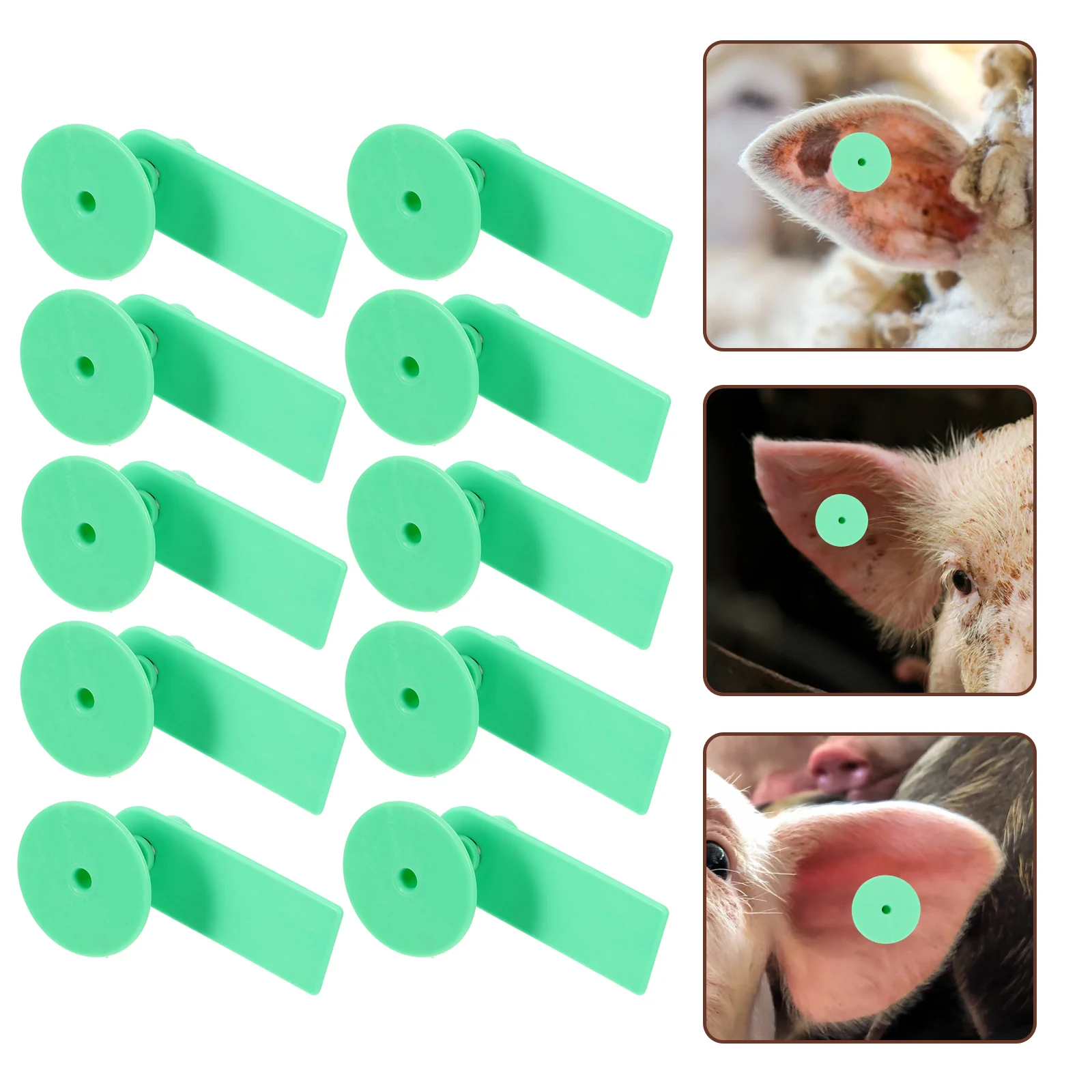 100 Sets Blank Livestock Ear Tags Animal Goat Signs Veterinary Supplies Label Without Number