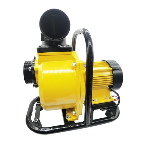 Solar DC 48V Self-Priming Pump Stainless Steel Submersible Solar Surface Pump Suction 8M for Agriculture irrigation Pump