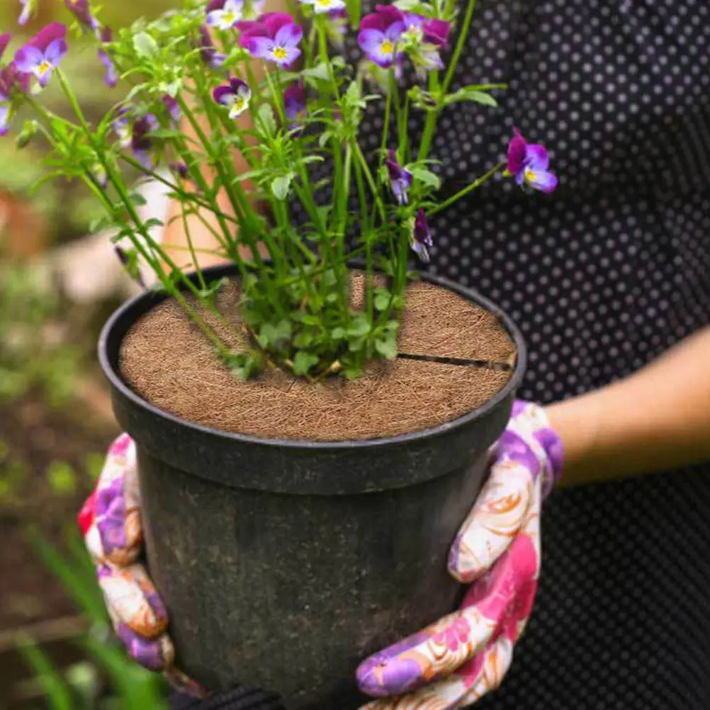 6Pcs Natural Coconut Fiber Flowerpot Mat Thick Breathable Coir Liner Mulch Ring for Plants Succulents Spiders Garden Tree