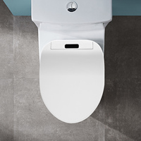 220V 1000W V-Shaped Bidet Toilet Seat with LED Light Remote Control Toilet Seat Waterproof Toilet Seat Bidet Electric
