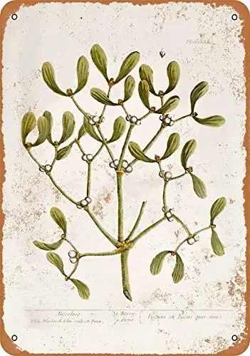 `Vintage Metal Tin Sign Mistletoe Botanical Plant Wall Plaque Retro Botany Illustration Print For Farmhouse Home Christmas De