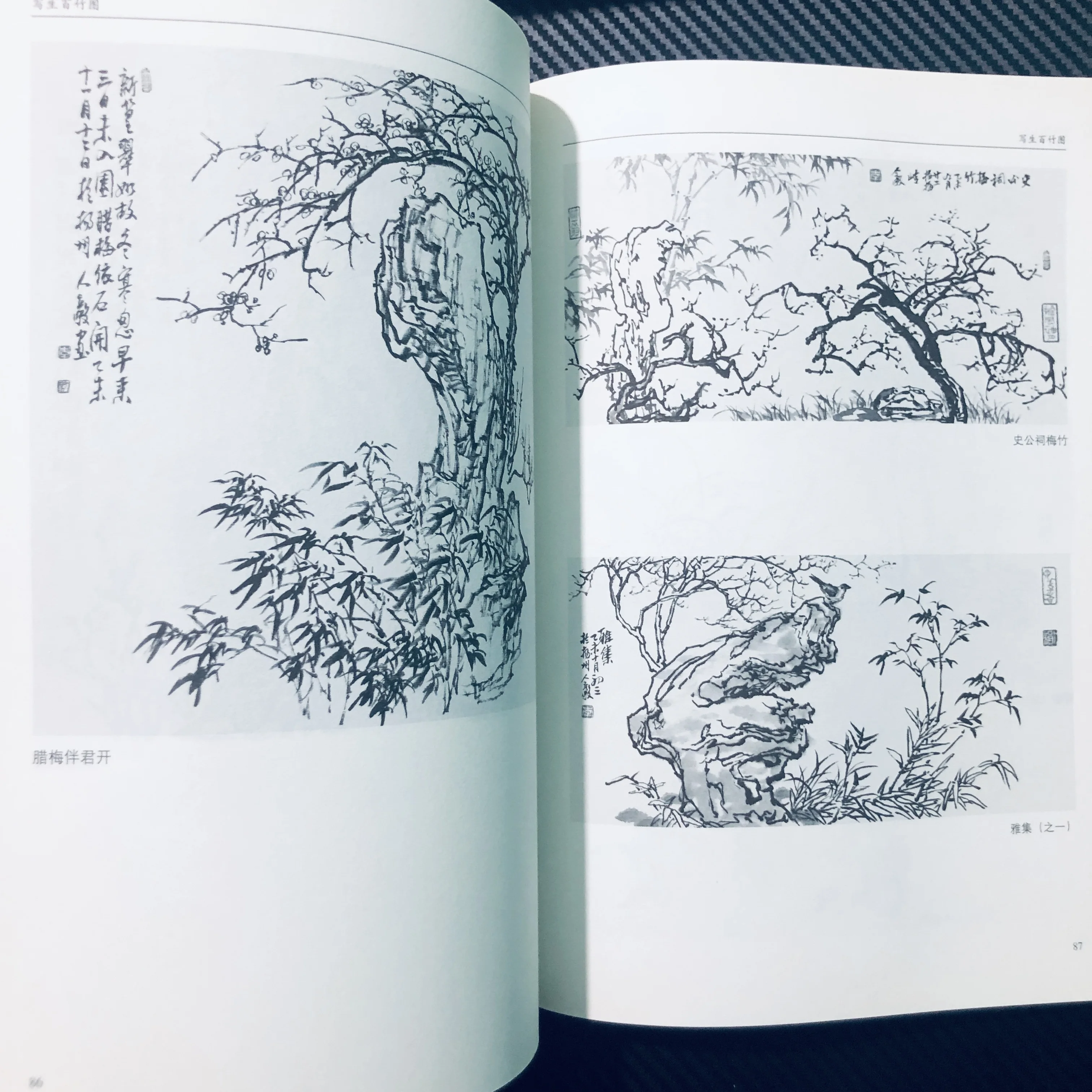 100 Bamboo Sketches: Botanical Drawing Techniques with Ink Wash & Composition Guide