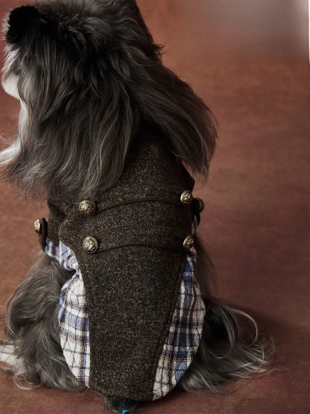 tawneybear-tony-bear-dog-sweater-two-legs-warm-casual-style-for-small-dogs-like-schnauzer-dachshund-shiba-inu-chihuahua