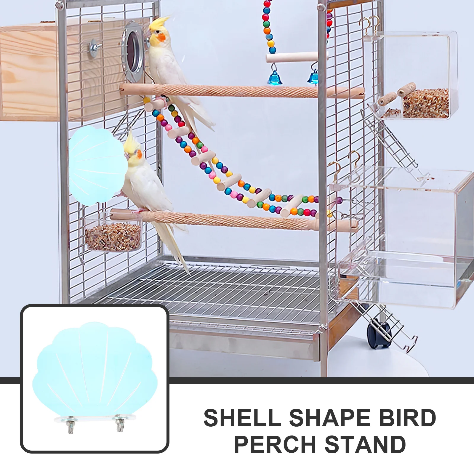 

Shell Shape Acrylic Bird Perch Stand Stylish Parrot Training Platform for Cage Exercise Climbing Playground Accessories