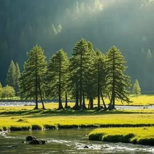 

Leaf Rhinestone Colors Strass Sew-on Stones Shiny Crystal Rhinestones Sewing Stones for Wedding Dress Garment Decoration