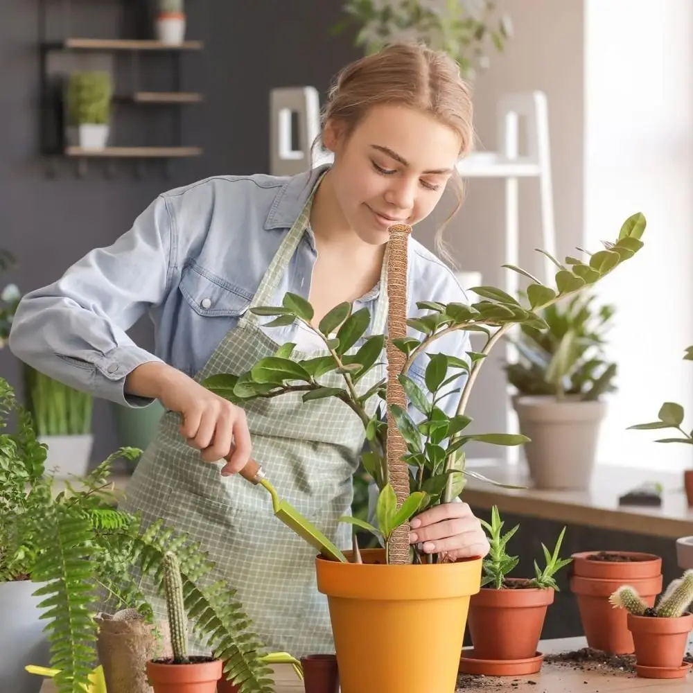 

Полезный алюминиевый столб для мха, кокосовая койра, гибкая подставка для растений, не повреждающая, легко удаляемая, большая опора для мохового столба, рост вверх