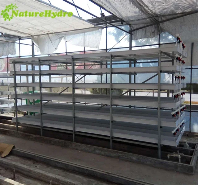 Irrigation&hydroponics Equipment Naturehydro Hydroponic Fodder Grass System