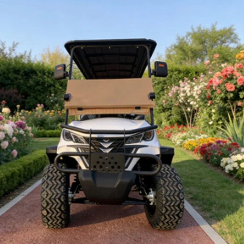 

2025 Новая туристическая тележка для гольфа, 6-местная, 72 В, уличная, легальная, электрическая тележка для гольфа, 6-местная, с литиевой батареей, для гольфа, для поля для гольфа