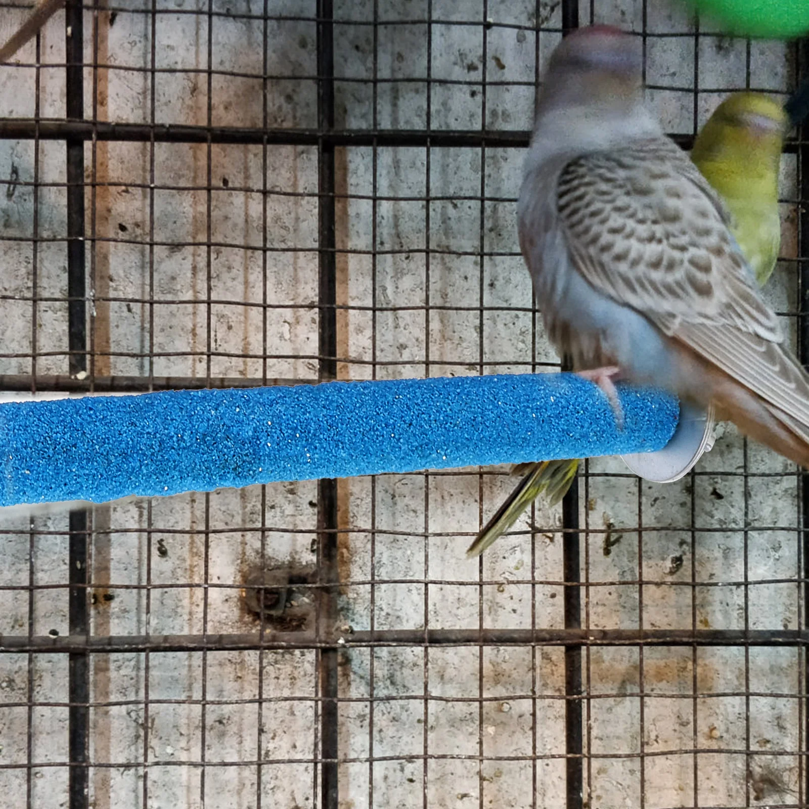 

5Pcs Colorful Wooden Parrot Grind Stick Bird Stand Rod for Canary Parrot Cage Play Activity Bird Climbing Stand