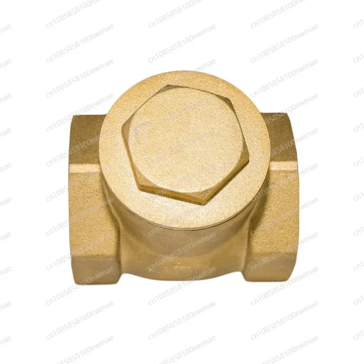 Brass horizontal check valve 4 points 6 points swing type automatic water pump check valve