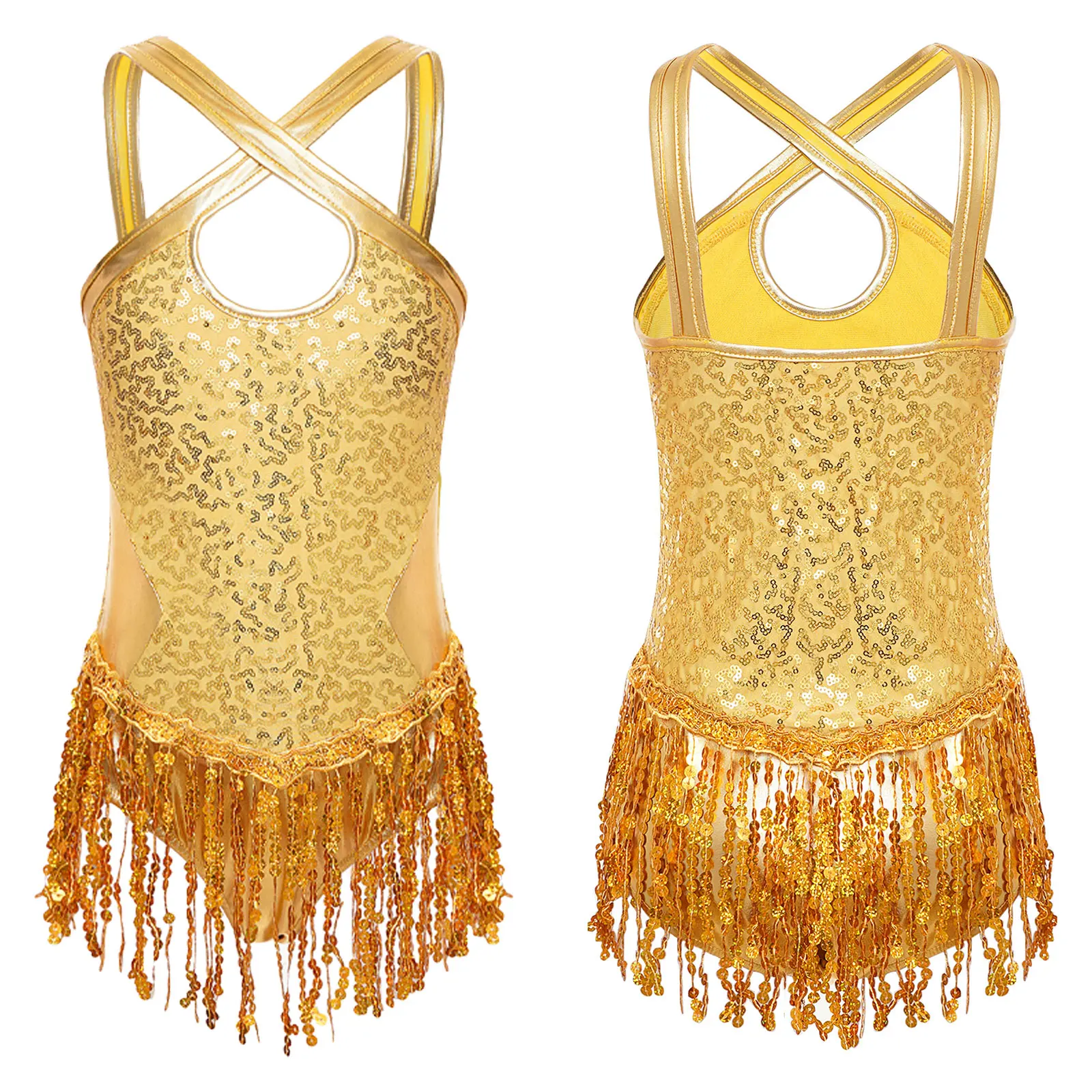 

Kids Girls Shiny Sequins Tassel Leotard Dress Latin Jazz Dance Fringed Leotard Bodysuit Ballroom Samba Tango Cha Cha Dancewear