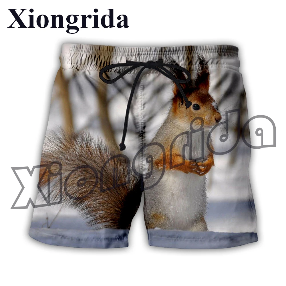 

Cute Squirrel Print Shorts Harajuku Beach Short Pants Simple Style 3D Kawaii Penguin Wolf Printed Shorts Men's Short Trunk New