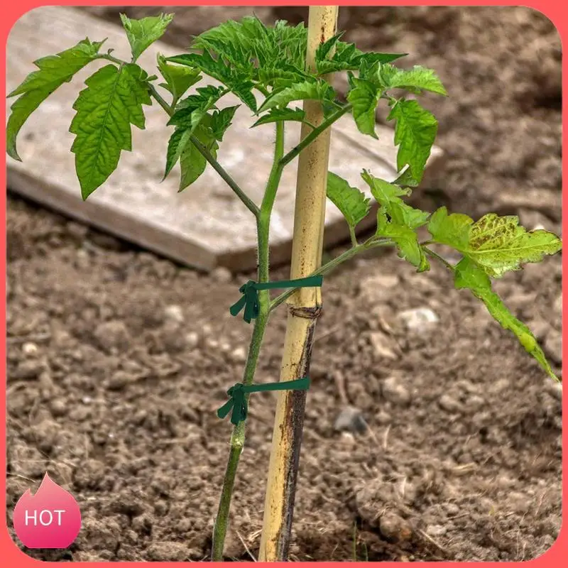 

HOT-Garden Twine Garden Plant Tie Tree Tie Stretchy Plant Support Tie Leaning Fixing Tool For Garden Office And Home